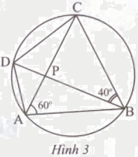 Giải bài 7 trang 88 sách bài tập toán 9 - Chân trời sáng tạo tập 2 1