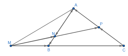 Giải bài 7 trang 97 SGK Toán 10 tập 1 – Chân trời sáng tạo 2