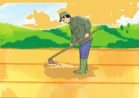 Giải bài 71: Luyện tập trang 60, 61, 62 vở bài tập Toán 5 - Cánh diều 3 1