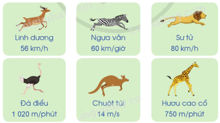 Giải bài 72: Vận tốc trang 67, 68 vở bài tập Toán 5 - Cánh diều 3