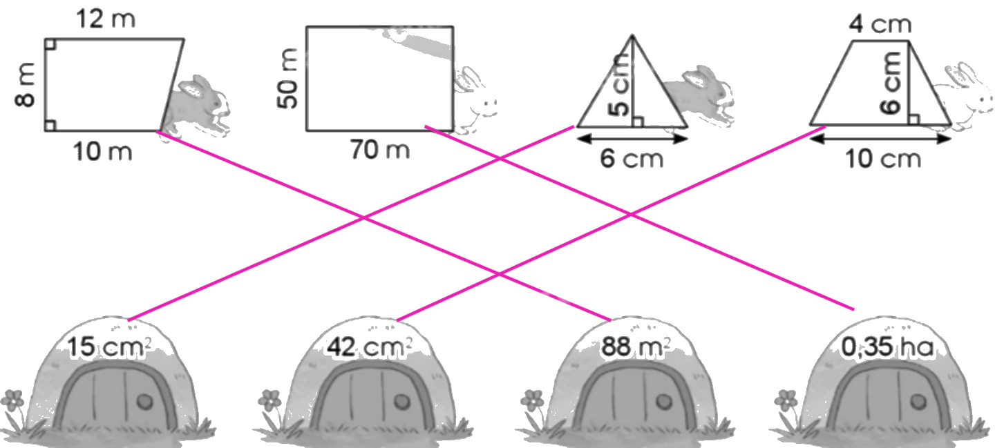 Giải bài 77: Em ôn lại những gì đã học trang 79, 80, 81, 82, 83 vở bài tập Toán 5 - Cánh diều 2 3