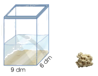 Giải bài 77: Em ôn lại những gì đã học trang 79, 80, 81, 82, 83 vở bài tập Toán 5 - Cánh diều 10