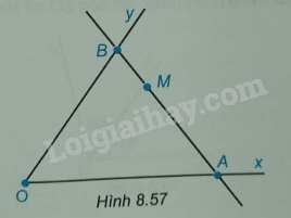 Giải Bài 8.45 trang 54 sách bài tập Toán 6 Kết nối tri thức với cuộc sống 2