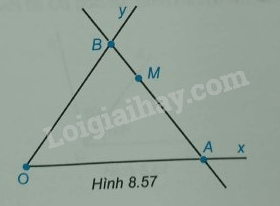 Giải Bài 8.46 trang 54 sách bài tập Toán 6 Kết nối tri thức với cuộc sống 2