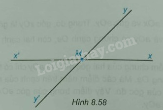 Giải Bài 8.48 trang 57 sách bài tập Toán 6 Kết nối tri thức với cuộc sống 2
