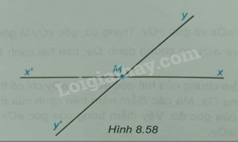 Giải Bài 8.50 trang 57 sách bài tập Toán 6 Kết nối tri thức với cuộc sống 1