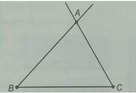 Giải Bài 8.51 trang 57 sách bài tập Toán 6 Kết nối tri thức với cuộc sống 1