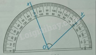 Giải Bài 8.53 trang 57 sách bài tập Toán 6 Kết nối tri thức với cuộc sống 1