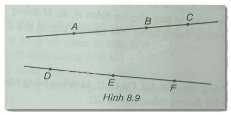 Giải Bài 8.8 trang 42 sách bài tập Toán 6 Kết nối tri thức với cuộc sống 1
