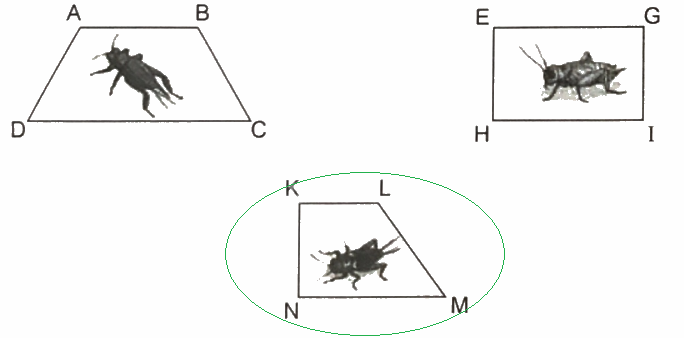 Giải bài 8: Góc nhọn, góc tù, góc bẹt (tiết 2) trang 29 vở bài tập Toán 4 - Kết nối tri thức với cuộc sống 3 2