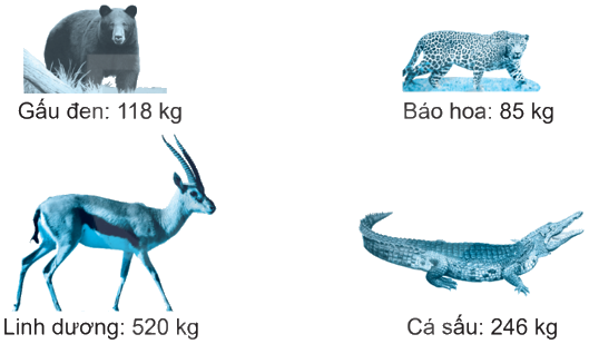 Giải bài 8: Luyện tập chung (tiết 1) trang 21 vở bài tập Toán 3 - Kết nối tri thức với cuộc sống 0 1