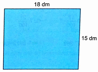 Giải bài 8: Ôn tập hình học và đo lường (tiết 2) trang 28, 29 vở bài tập Toán 5 - Kết nối tri thức 5