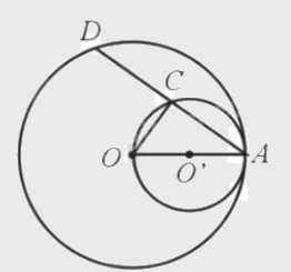 Giải bài 8 trang 103 sách bài tập toán 9 - Cánh diều tập 1 2