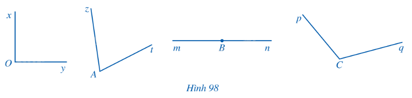 Giải bài 8 trang 103 SGK Toán 6 Cánh diều 1