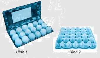 Giải bài 8 trang 29 Sách bài tập Toán 6 - Chân trời sáng tạo 1