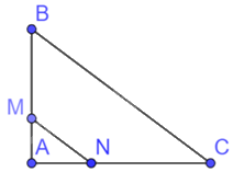 Giải bài 8 trang 42 sách bài tập toán 8 - Chân trời sáng tạo tập 2 2