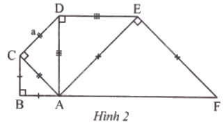 Giải bài 8 trang 51 sách bài tập toán 9 - Chân trời sáng tạo tập 1 1
