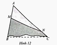 Giải bài 8 trang 60 sách bài tập toán 8 – Cánh diều 1