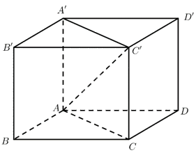 Giải bài 8 trang 64 sách bài tập toán 12 - Chân trời sáng tạo 2