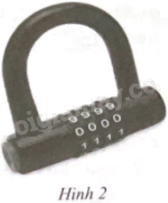 Giải bài 8 trang 67 sách bài tập toán 9 - Chân trời sáng tạo tập 2 1