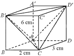 Giải bài 8 trang 68 sách bài tập toán 11 - Chân trời sáng tạo tập 2 2