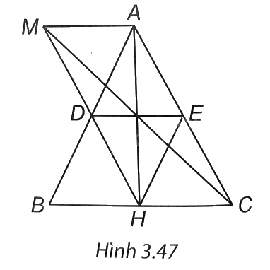 Giải bài 8 trang 68 vở thực hành Toán 8 2
