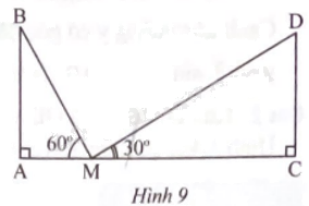 Giải bài 8 trang 69 sách bài tập toán 9 - Chân trời sáng tạo tập 1 1