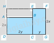 Giải bài 8 trang 7 vở thực hành Toán 8 1
