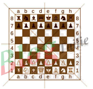 Giải bài 8 trang 79 sách bài tập Toán 6 - Chân trời sáng tạo Tập 2 1