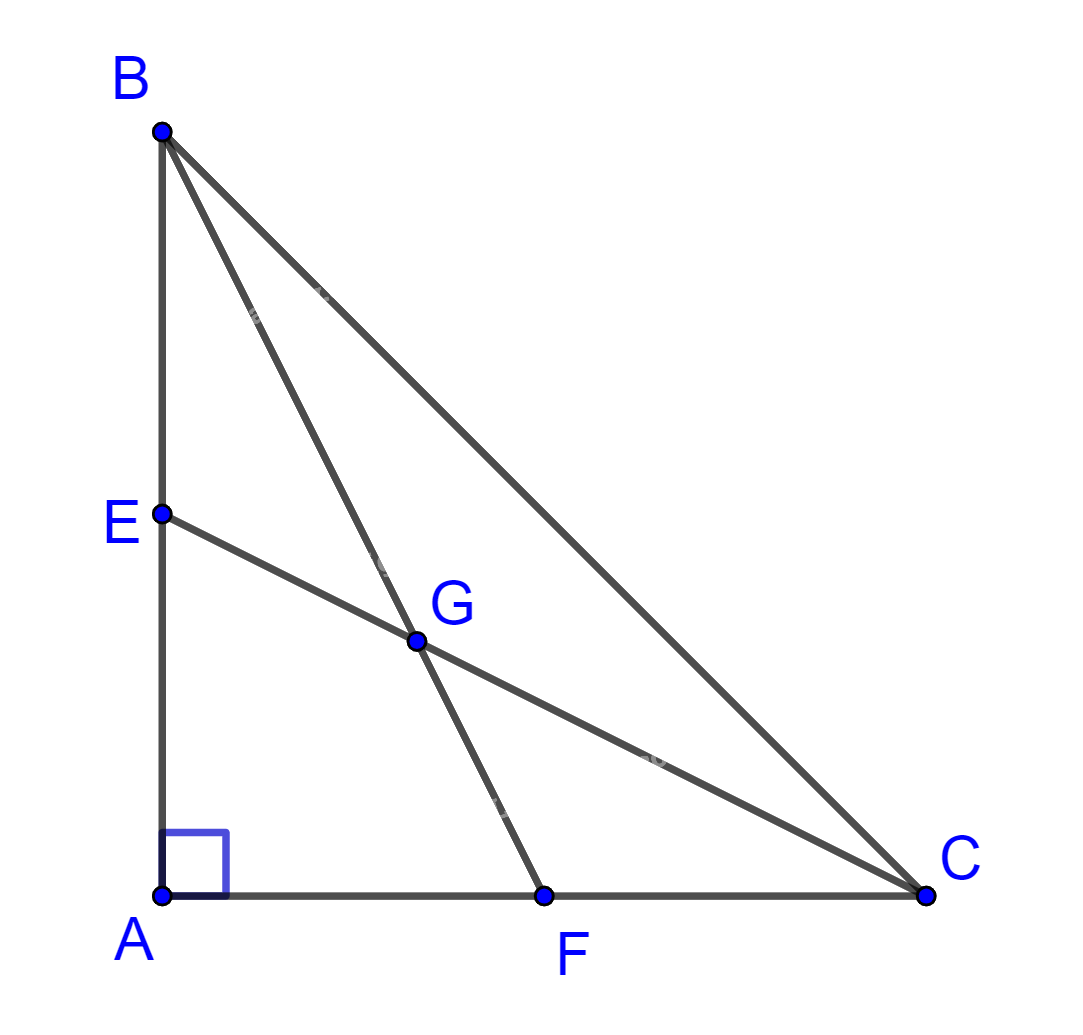 Giải bài 8 trang 80 sách bài tập toán 10 - Chân trời sáng tạo 1