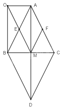 Giải bài 8 trang 81 SGK Toán 8 tập 1– Chân trời sáng tạo 2