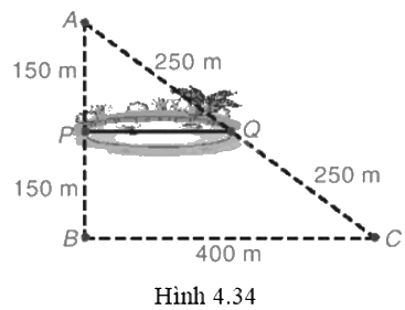 Giải bài 8 trang 81 vở thực hành Toán 8 1