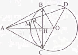 Giải bài 8 trang 82 sách bài tập toán 9 - Chân trời sáng tạo tập 2 2