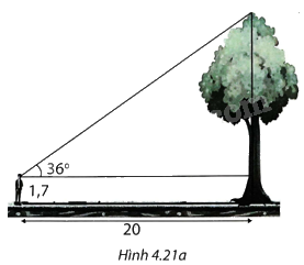 Giải bài 8 trang 83 vở thực hành Toán 9 1