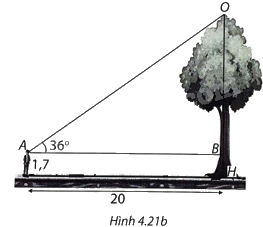 Giải bài 8 trang 83 vở thực hành Toán 9 3