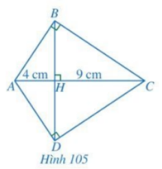 Giải bài 8 trang 95 SGK Toán 8 – Cánh diều 1