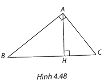 Giải bài 8 trang 95 vở thực hành Toán 9 1
