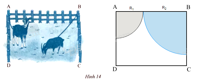 Giải bài 8 trang 98 sách bài tập toán 9 - Chân trời sáng tạo tập 1 1