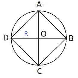 Giải bài 81 trang 50 sách bài tập Toán 6 – Cánh Diều Tập 2 2