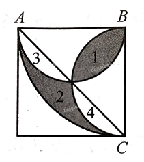 Giải bài 82 trang 50 sách bài tập Toán 6 – Cánh Diều Tập 2 1
