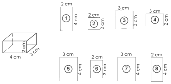 Giải bài 86: Ôn tập về hình học trang 106, 107, 108, 109, 110 vở bài tập Toán 5 - Cánh diều 8