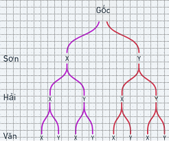 Giải bài 9.10 trang 87 SGK Toán 10 – Kết nối tri thức 1