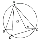 Giải bài 9.17 trang 53 sách bài tập toán 9 - Kết nối tri thức tập 2 2