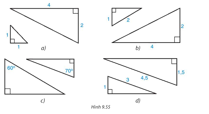 Giải bài 9.24 trang 103 SGK Toán 8 tập 2 - Kết nối tri thức 1