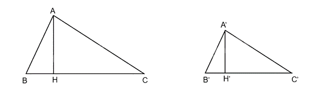 Giải bài 9.27 trang 103 SGK Toán 8 tập 2 - Kết nối tri thức 1