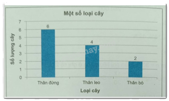Giải Bài 9.47 trang 89 sách bài tập Toán 6 Kết nối tri thức với cuộc sống 2