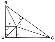 Giải bài 9.49 trang 62 sách bài tập toán 9 - Kết nối tri thức tập 2 2