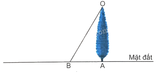 Giải bài 9: Luyện tập chung (tiết 2) trang 34, 35 vở bài tập Toán 4 - Kết nối tri thức với cuộc sống 2 1