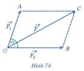 Giải bài 9 trang 100 SGK Toán 10 tập 1 – Cánh diều 1