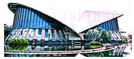 Giải bài 9 trang 128 vở thực hành Toán 9 tập 2 1